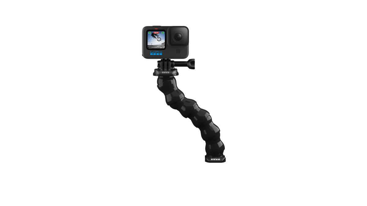 Gooseneck – Image 2